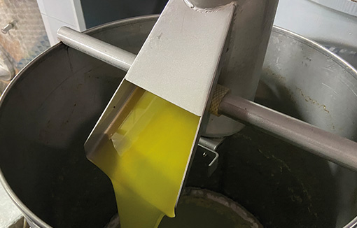 Das gepresste Olivenöl